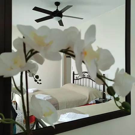 Paradise Garden Paros 아파트 *