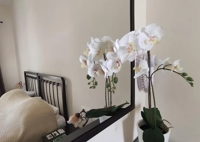 アパート Paradise Garden Paros *