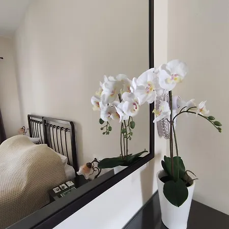 Apartament Paradise Garden Paros *